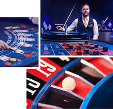 555 bets